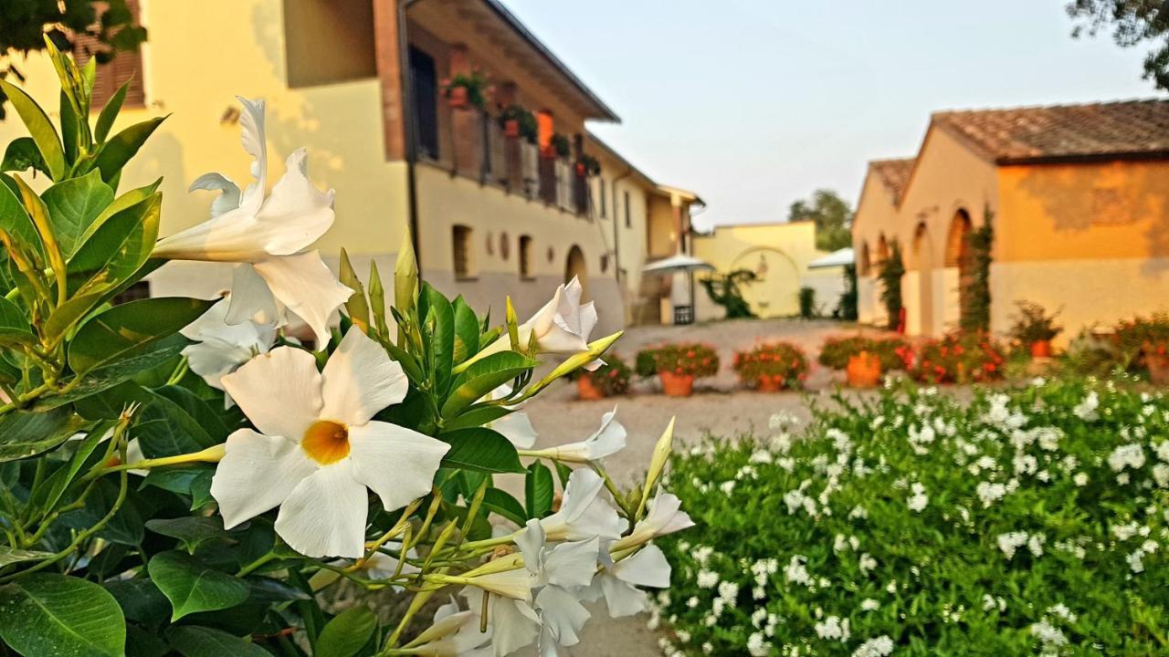 Punta Dei Lecci Villa Riparbella Luaran gambar